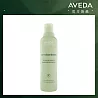 AVEDA 純豐洗髮精250ml