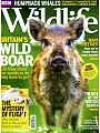 BBC Wildlife 12月號/2015
