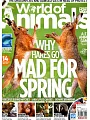 World of Animals 第31期