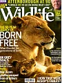 BBC Wildlife 春季號/2016