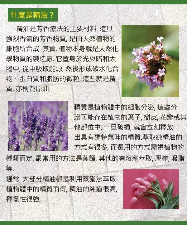 博客來 Body Temple檀香 Sandalwood 芳療精油10ml