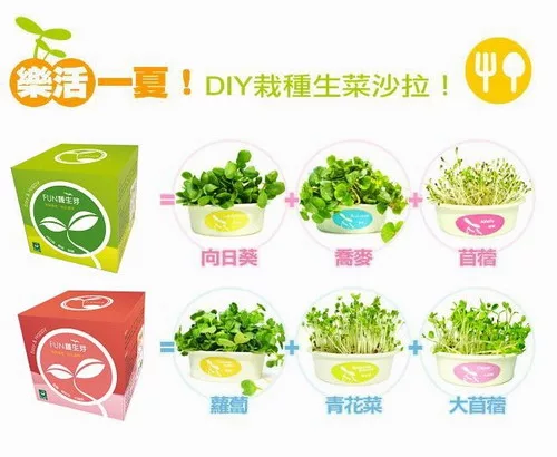 博客來 Fun種生芽 蘿蔔 青花菜 大苜蓿 博客來 Fun種生芽 蘿蔔 青花菜 大苜蓿