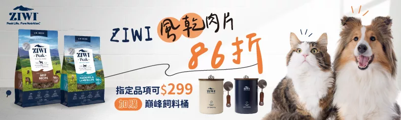 風乾肉片
