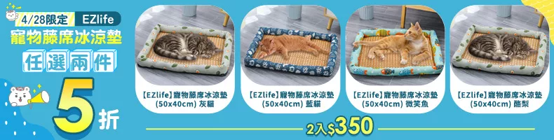4/28限定