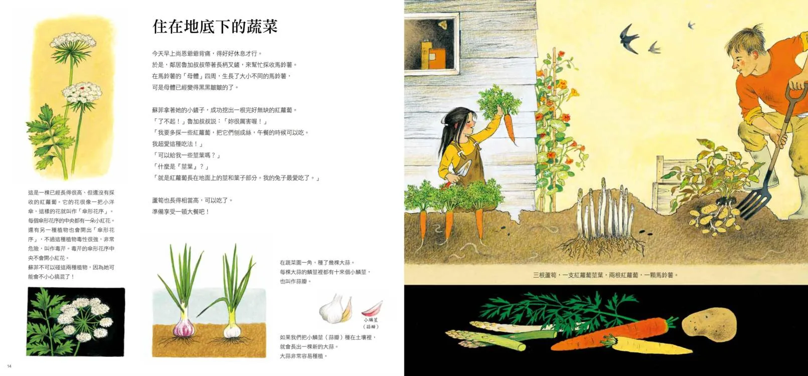 你知道我們每天吃的蔬菜，是怎麼長大的嗎？