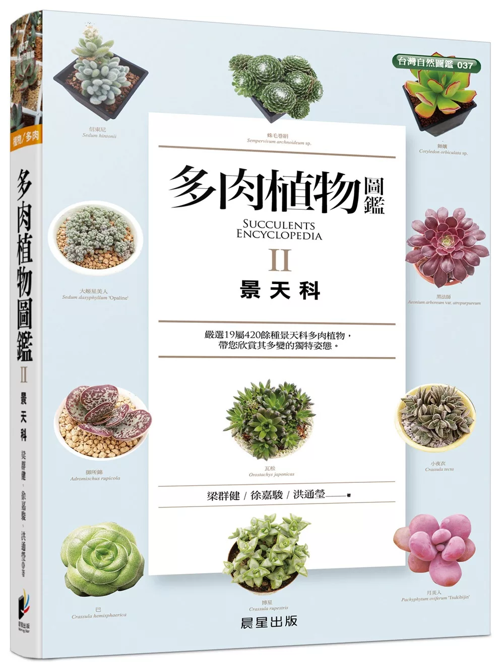 博客來 多肉植物圖鑑 景天科