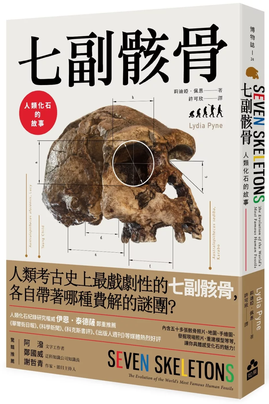 博客來 七副骸骨 人類化石的故事