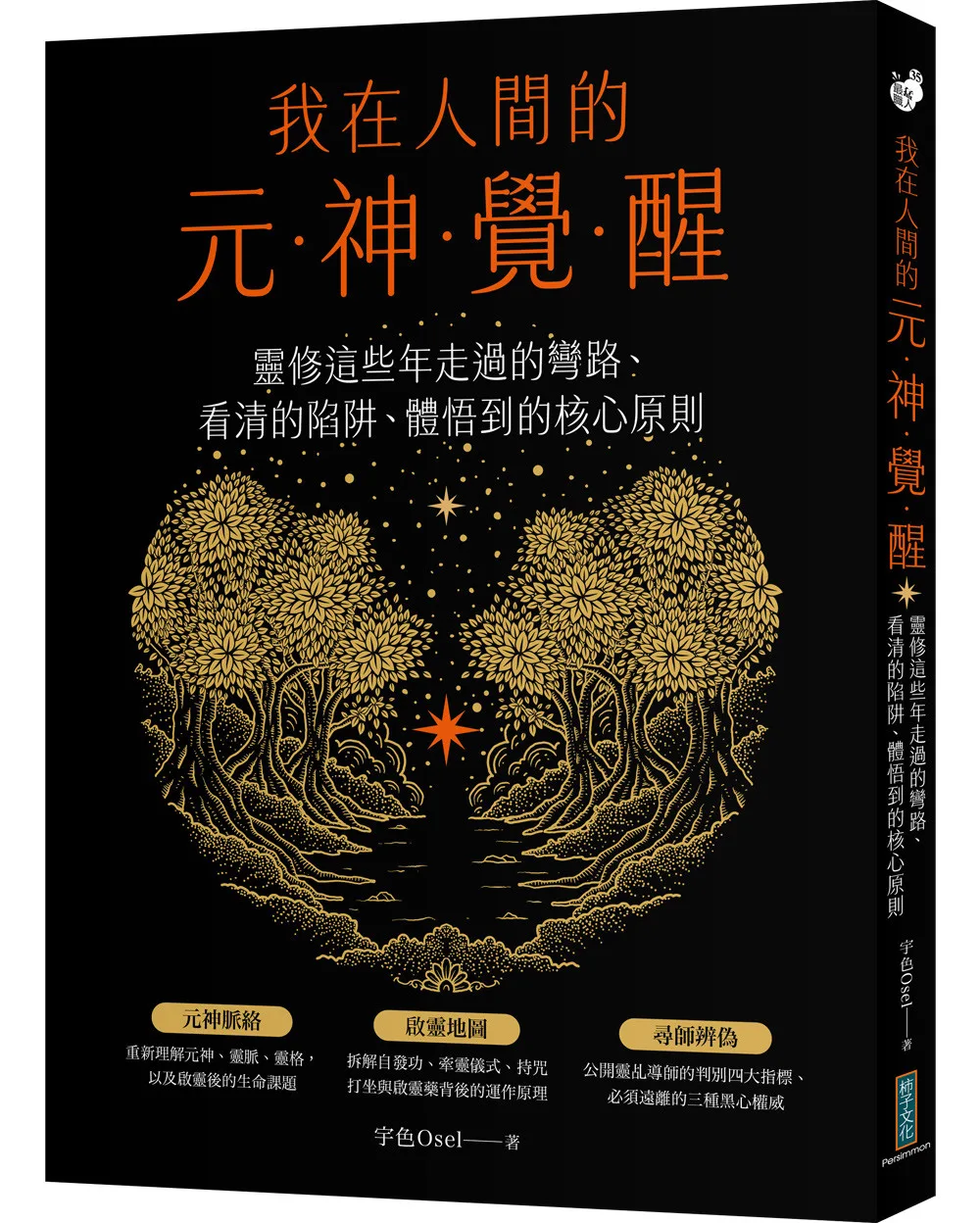 我在人間的元神覺醒：靈修這些年走過的彎路、看清的陷阱、體悟到的核心原則 書封