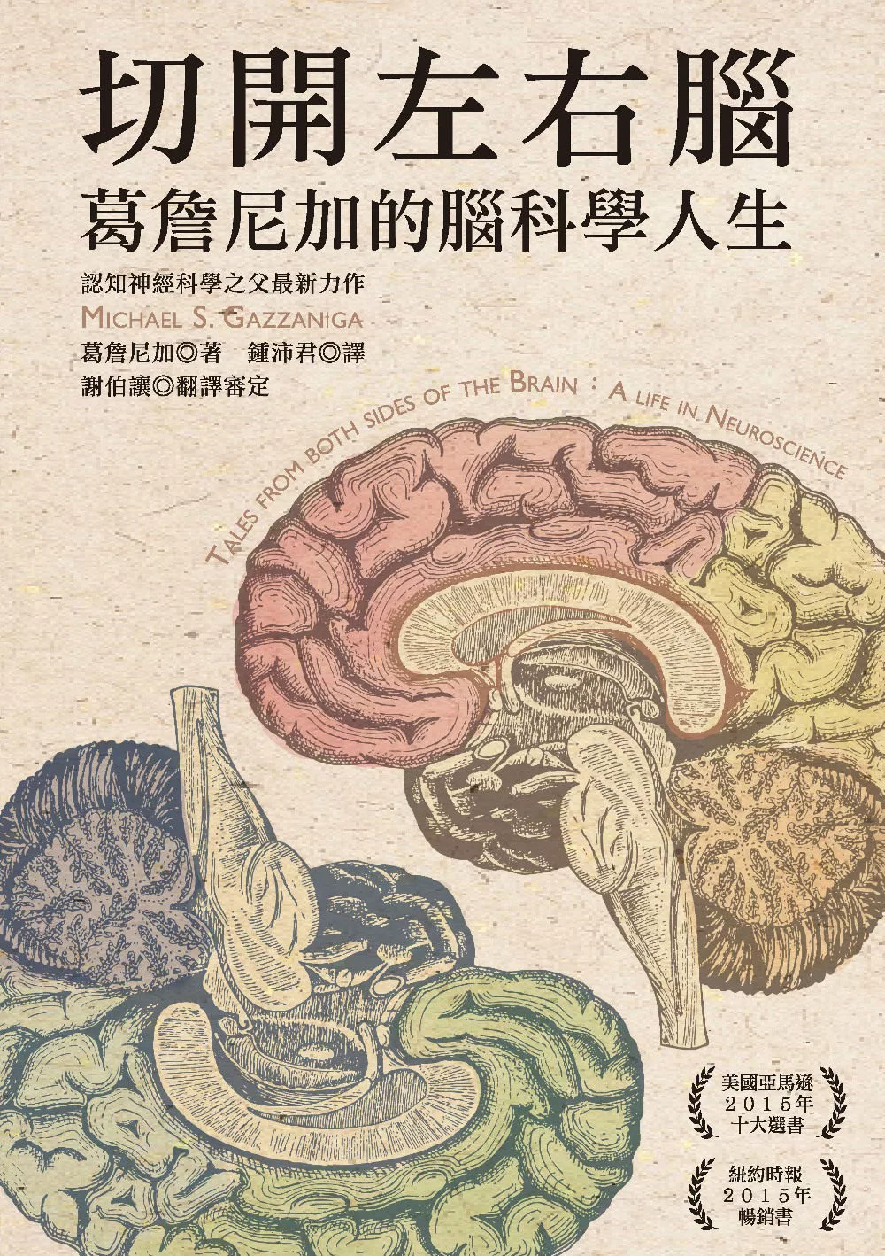 切開左右腦：葛詹尼加的腦科學人生 (電子書)