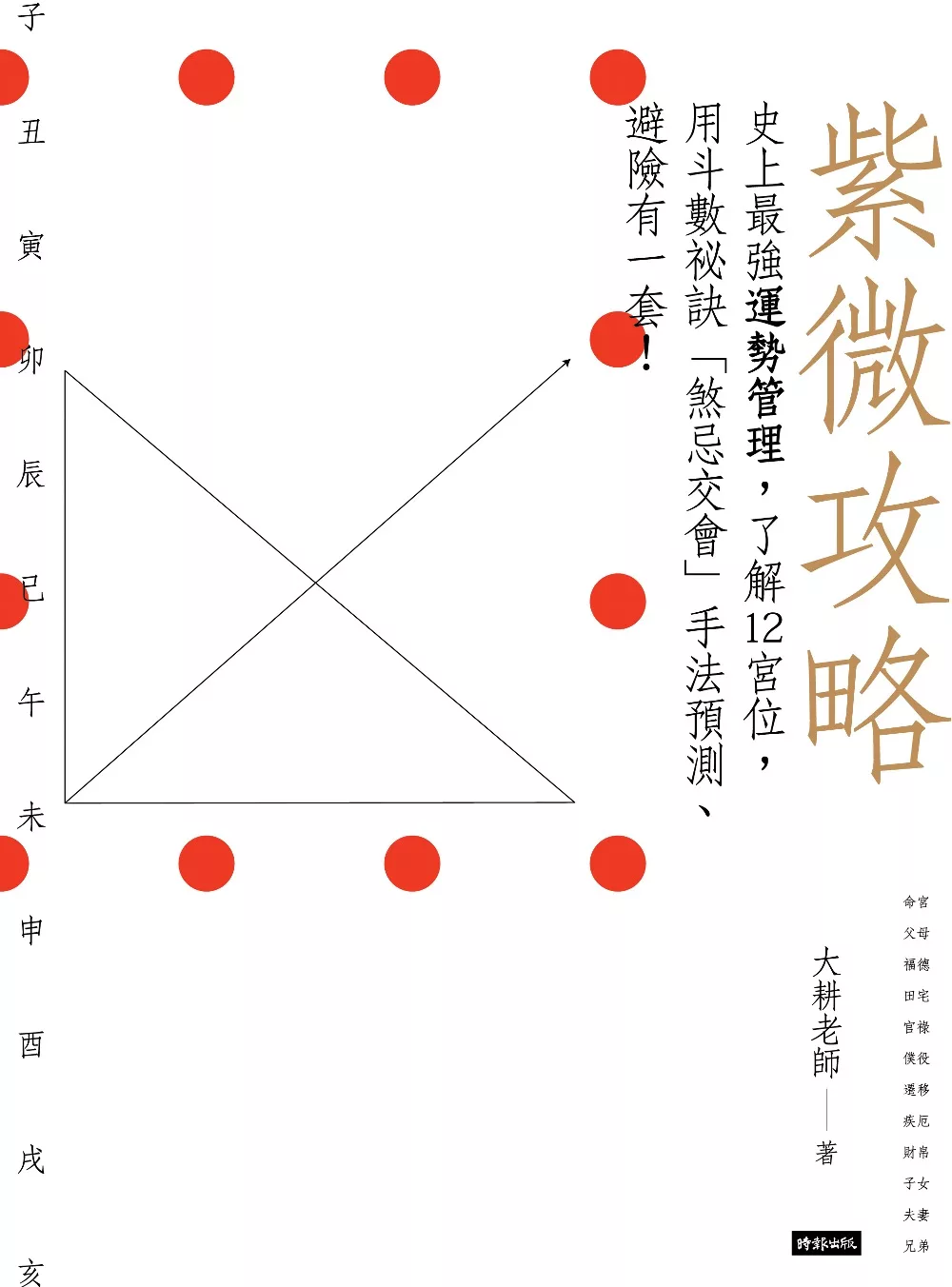 博客來 紫微攻略 史上最強運勢管理 了解12宮位 用斗數秘訣 煞忌交會 手法預測 避險有一套 電子書