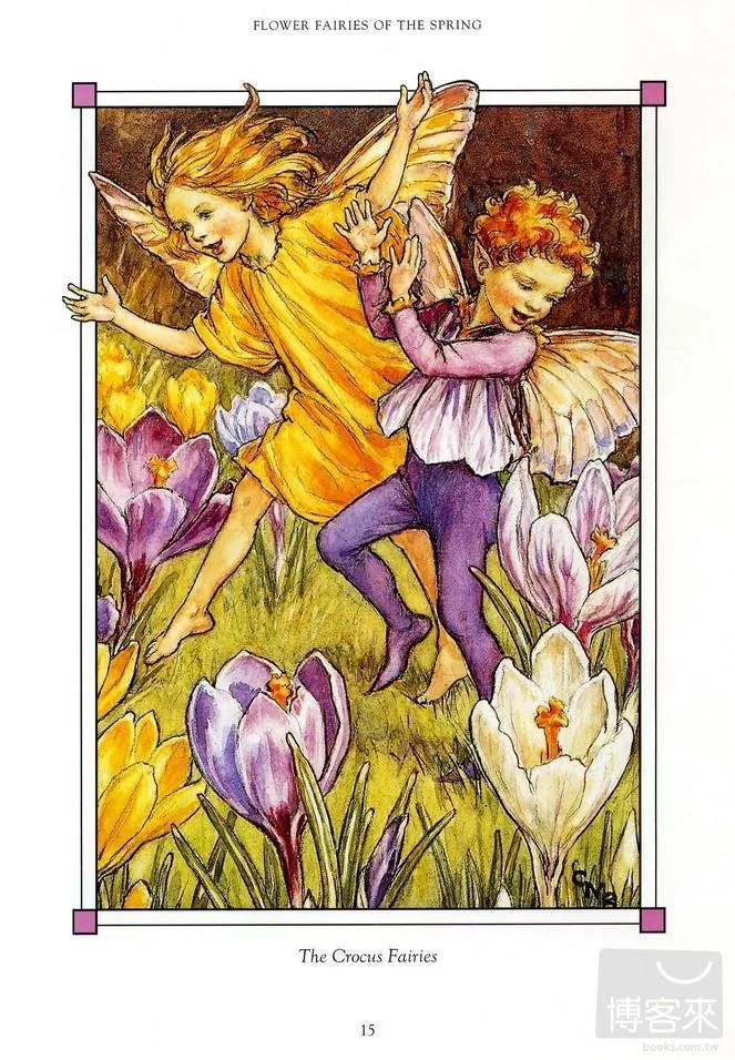 the complete book of the flower fairies