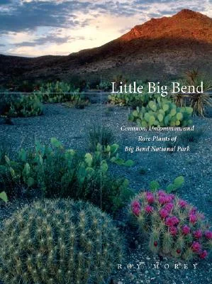 Little Big Bend: Common, Uncommon, and Rare Plants of Big Bend National Park