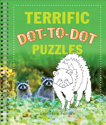 Terrific Dot-to-Dot Puzzles