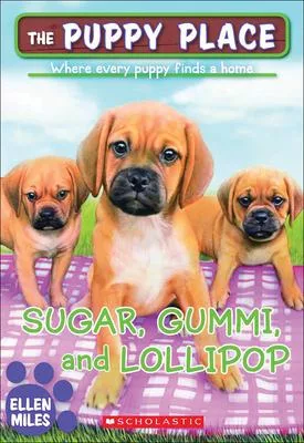 Sugar, Gummi, and Lollipop