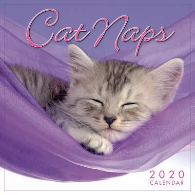 2020 Cat Naps Mini Calendar: By Sellers Publishing