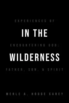 In the Wilderness: Experiences of Encountering God: Father, Son, and Spirit