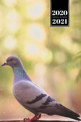 Pigeon Ornithology Bird Watching Birding Week Planner Weekly Organizer Calendar 2020 / 2021 - Summer Day: Cute Wildlife Animal Pet Bullet Journal Note