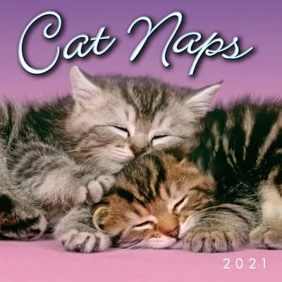 2021 Cat Naps Mini Calendar