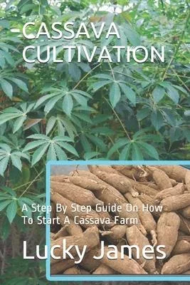 Cassava Cultivation: A Step By Step Guide On How To Start A Cassava Farm