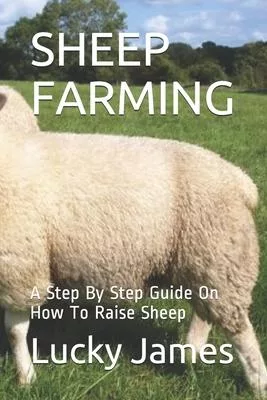 Sheep Farming: A Step By Step Guide On How To Raise Sheep