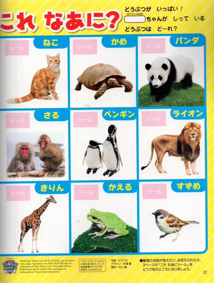 一起來認識可愛動物