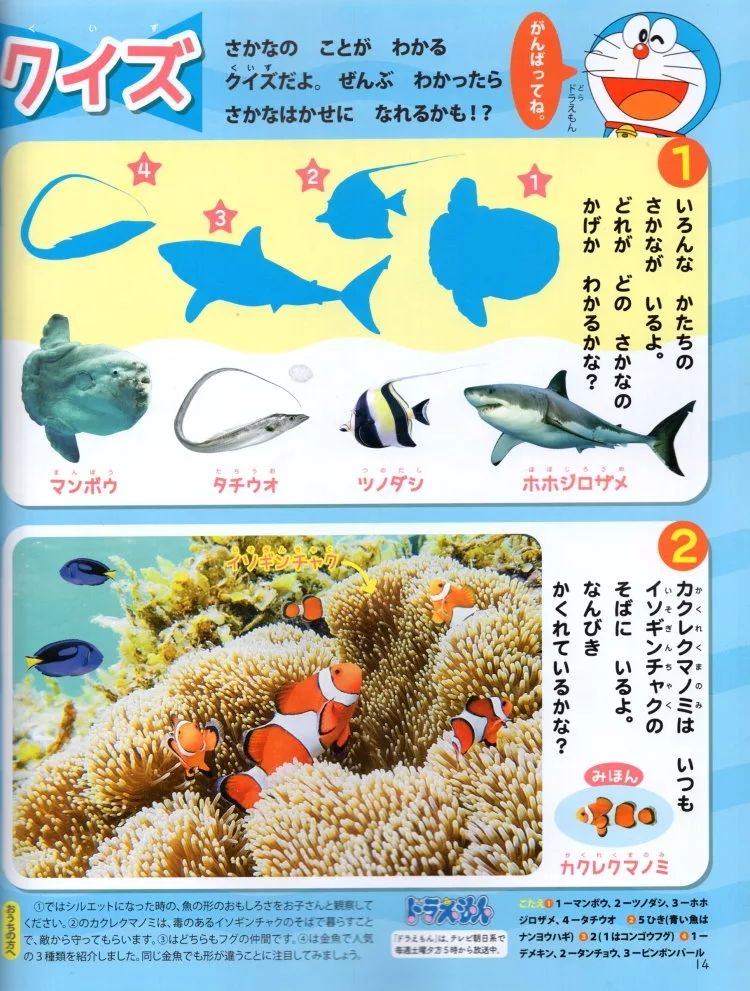 魚類猜謎遊戲