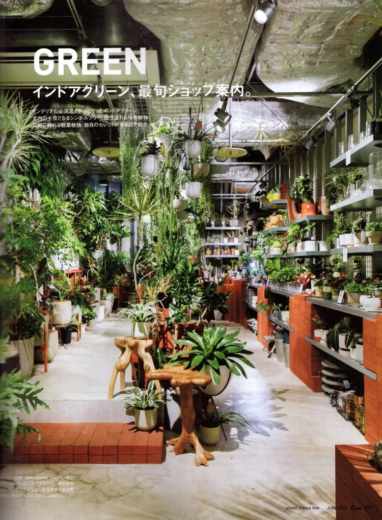 最新植物店導覽