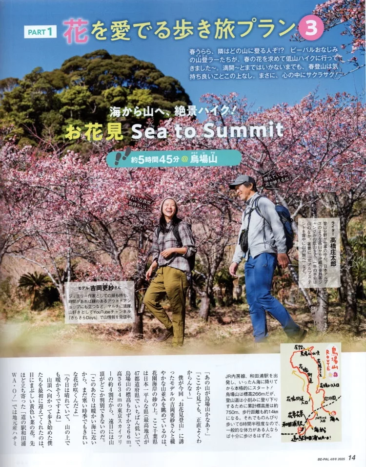 從海邊到山頂的賞花路線