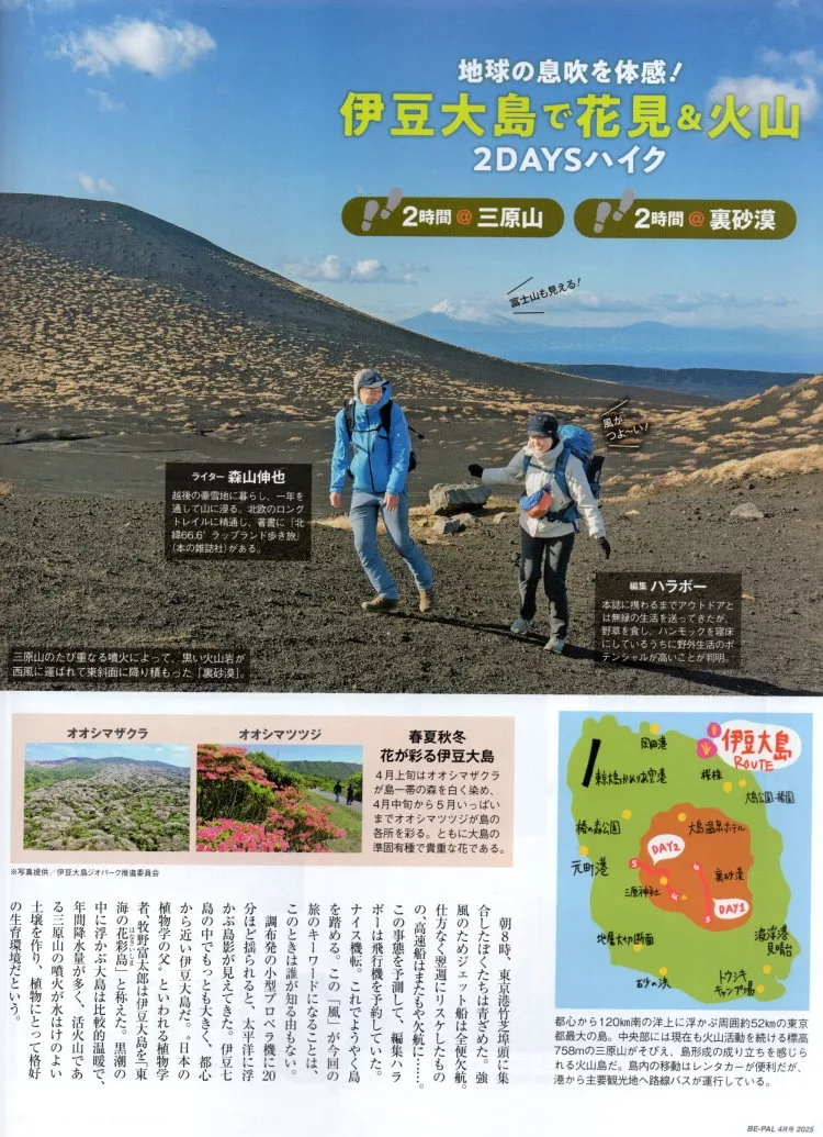 花與火山的伊豆大島