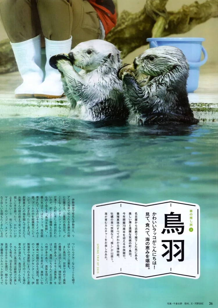 鳥羽