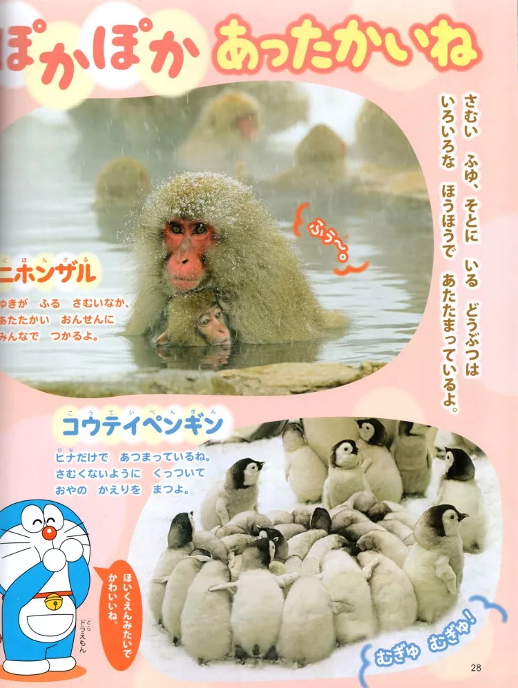 度過溫暖的冬天