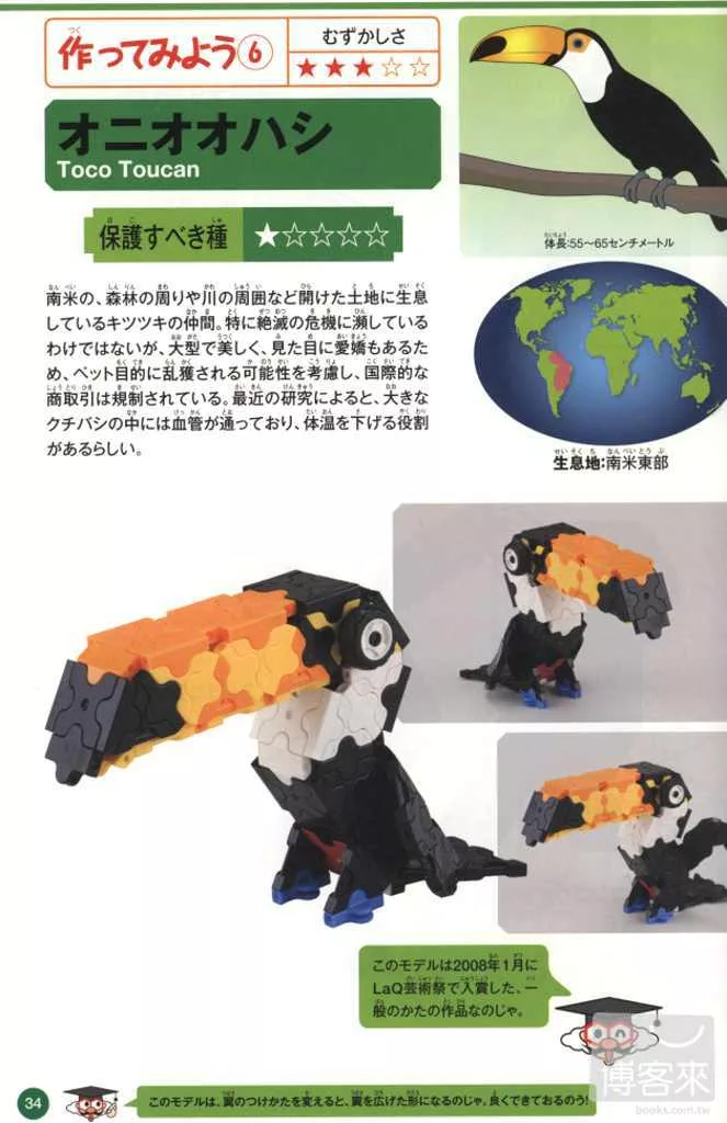 大嘴鳥（托哥巨嘴鳥）