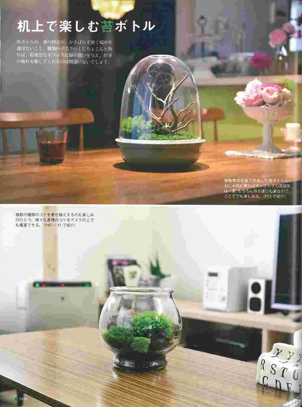 博客來 苔蘚盆栽趣味裝飾生活圖鑑專集