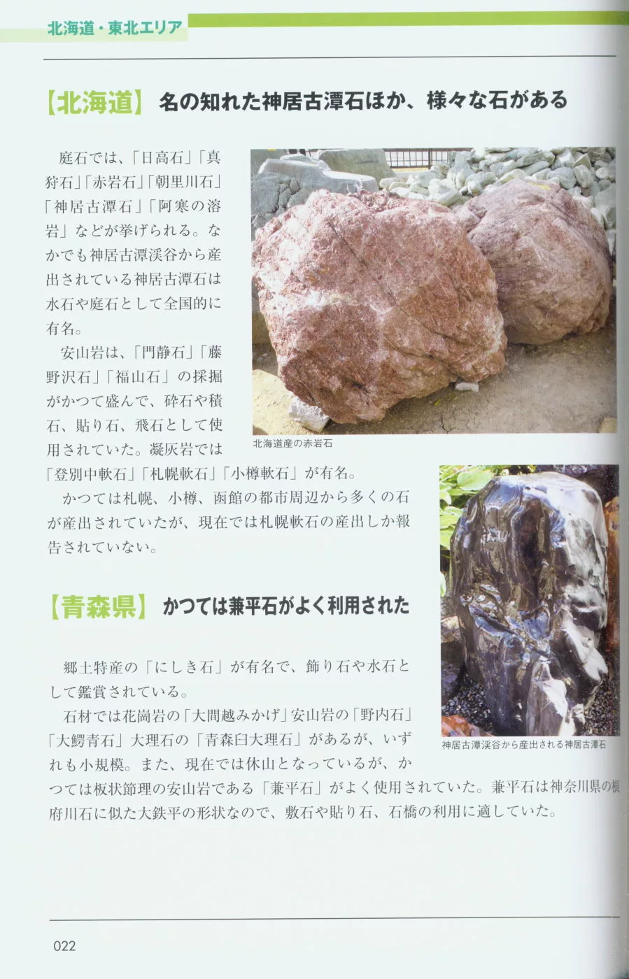 博客來 原色庭石解說圖鑑大事典