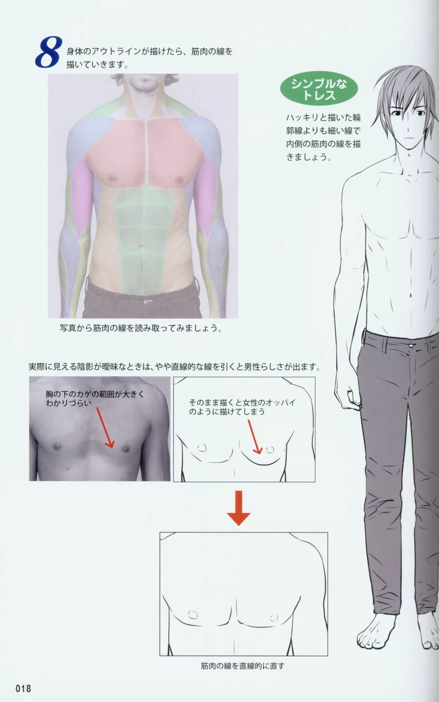 博客來 男性肌肉描繪構圖寫真姿勢集 附cd Rom