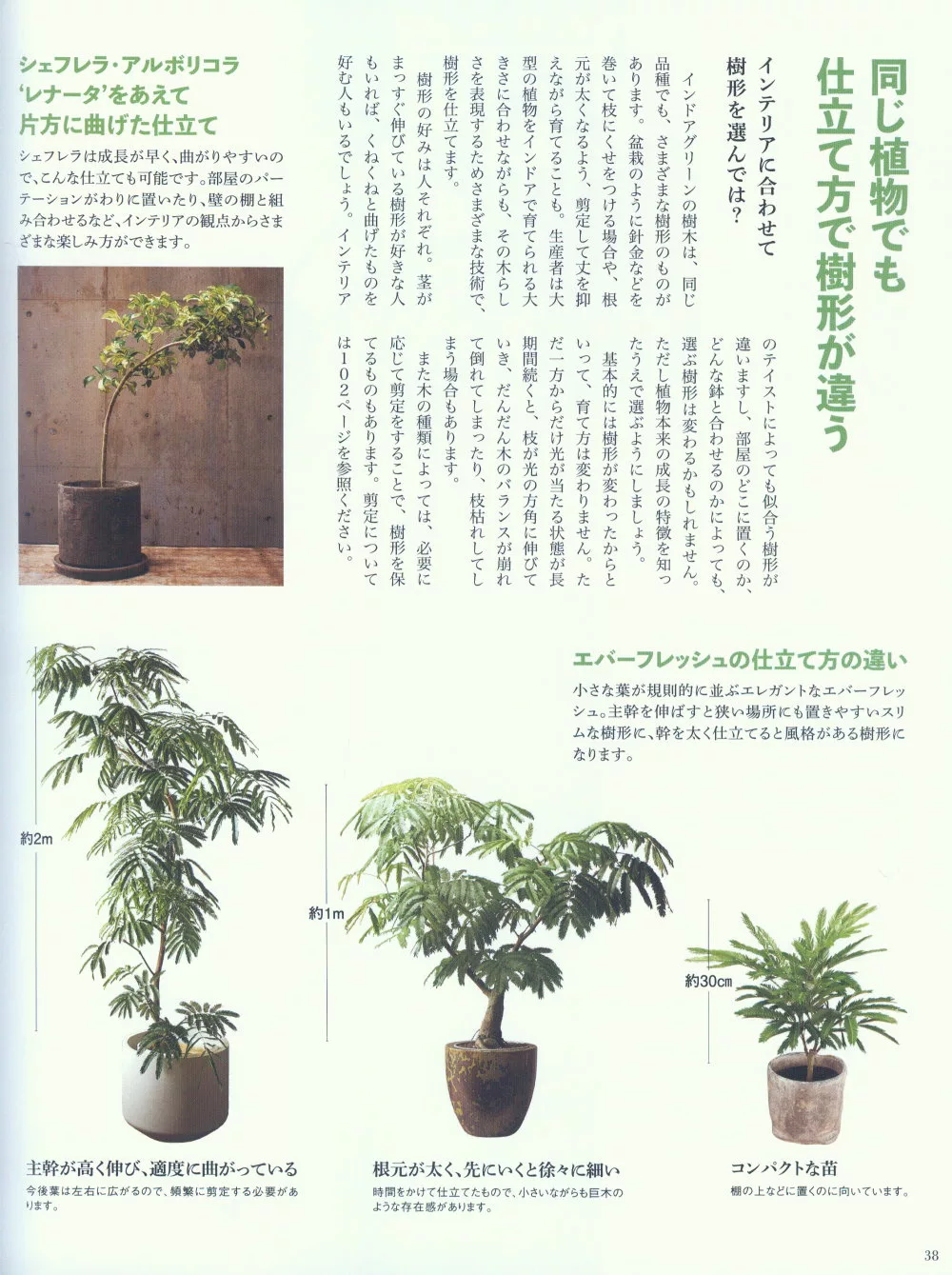 內頁