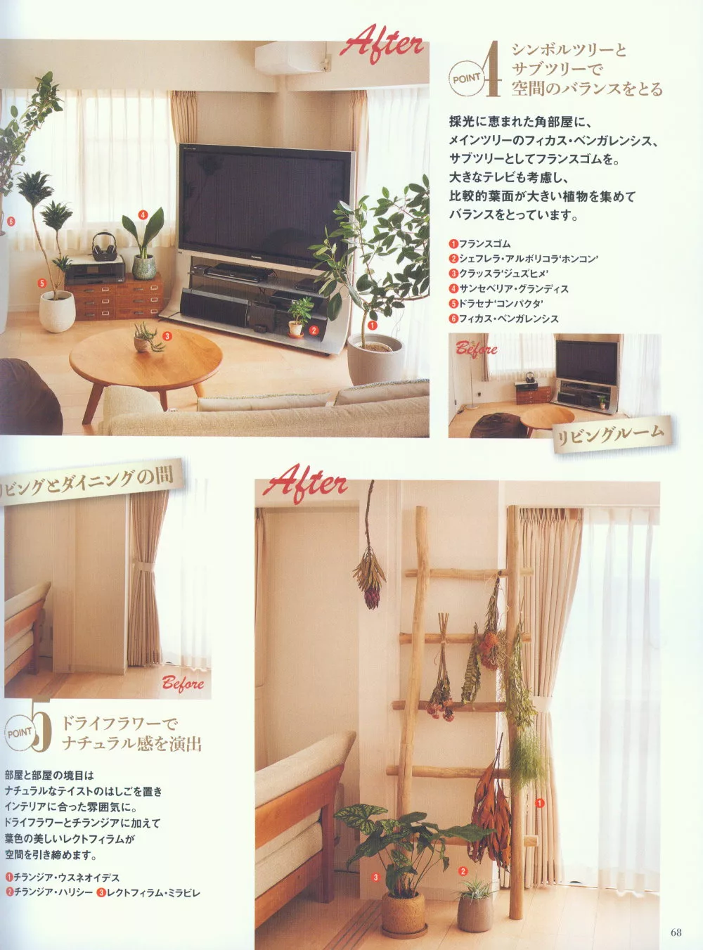 內頁