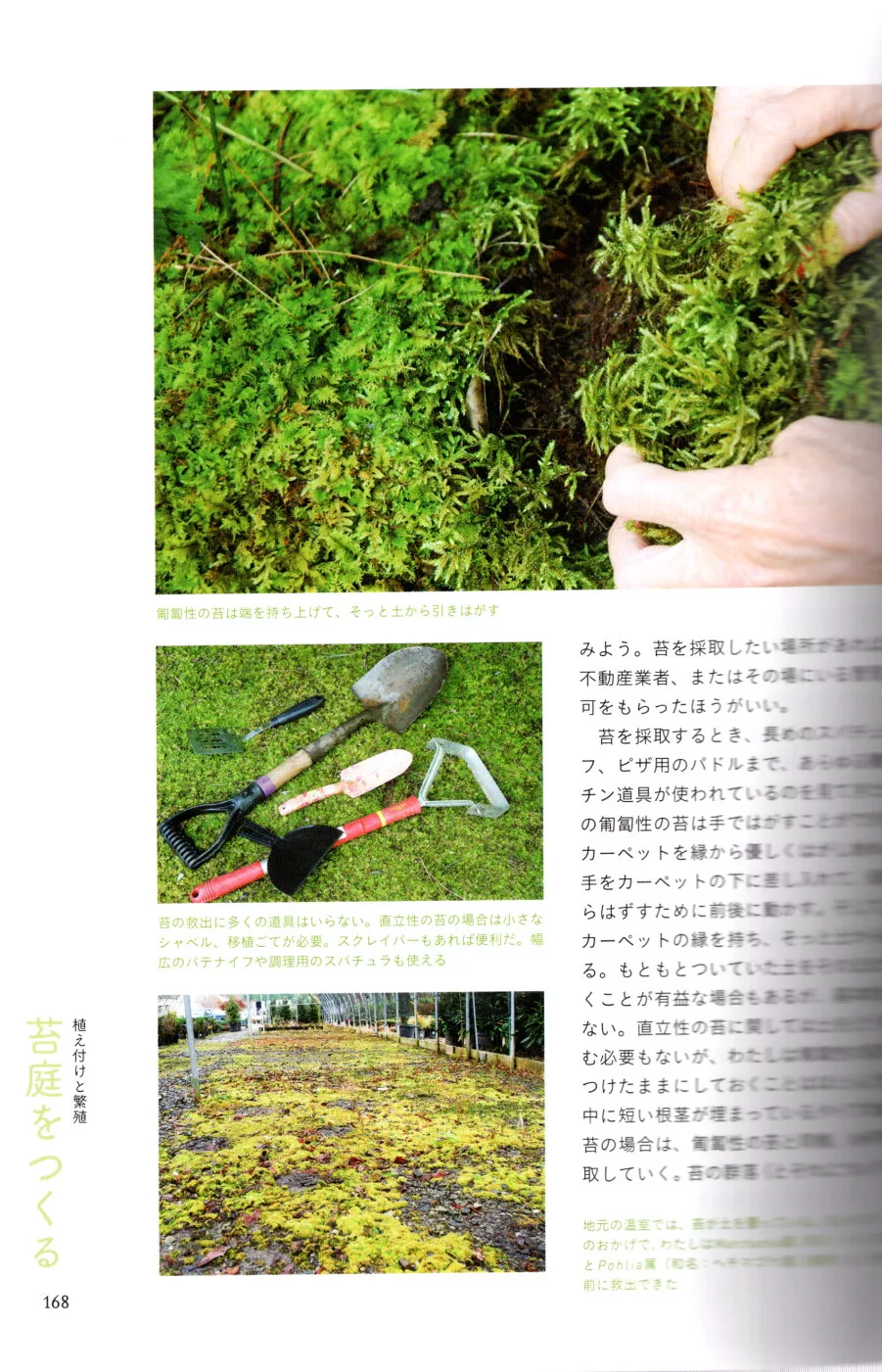 博客來 美麗苔庭知識與打造實例完全專集