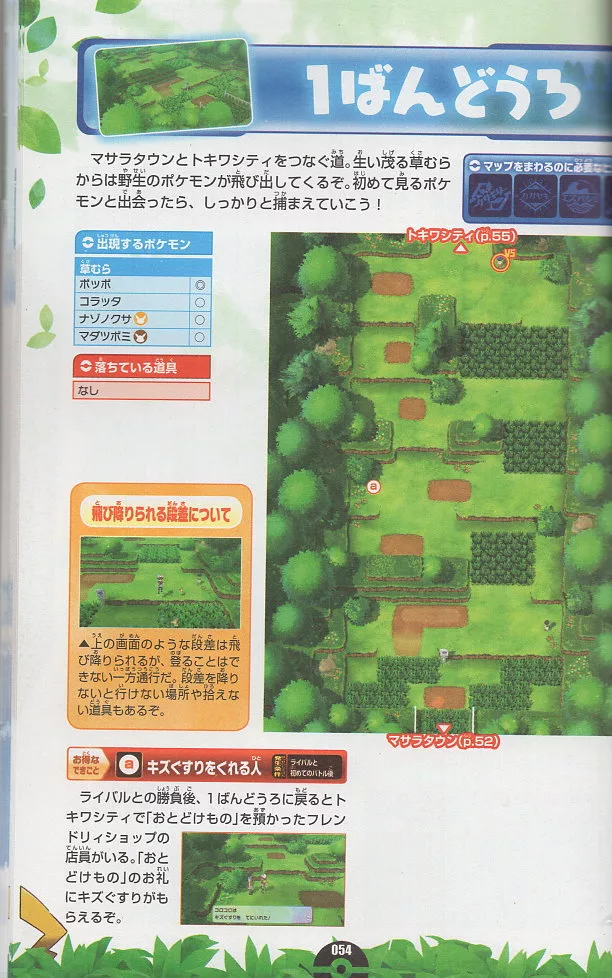 內頁