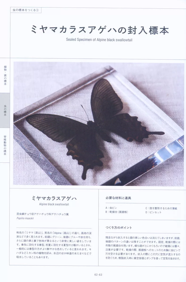 博客來 美麗生物樹脂封入標本製作教學集