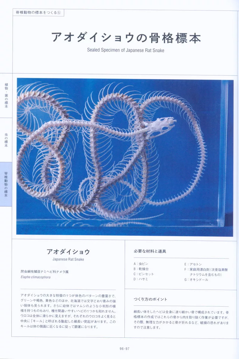 博客來 美麗生物樹脂封入標本製作教學集