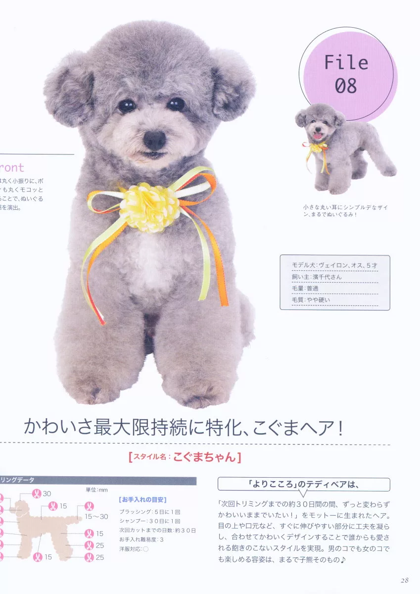博客來 可愛貴賓犬最新剪毛造型完全專集