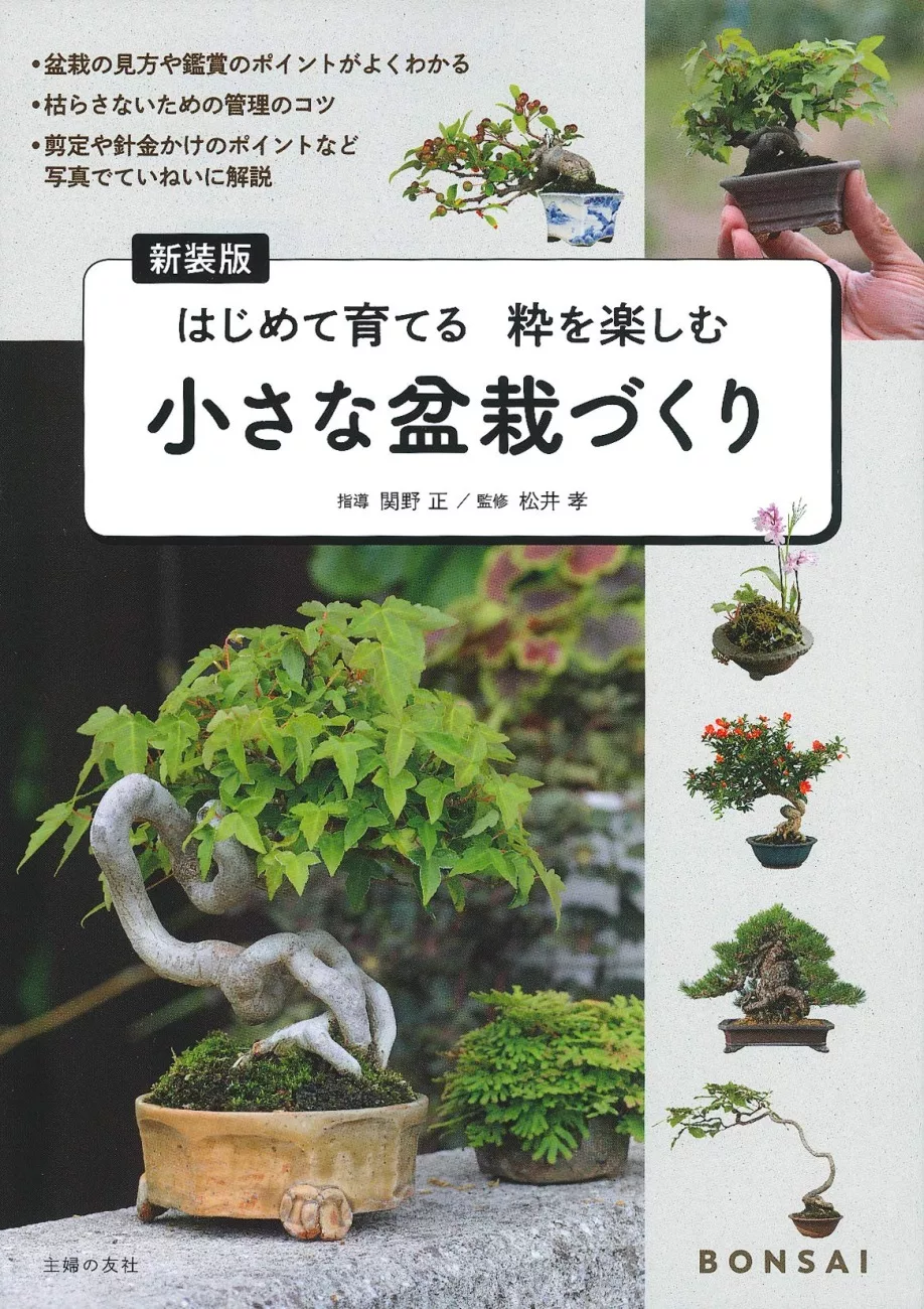 小巧盆栽種植裝飾教學實例手冊 Mook Stocknet台灣股網