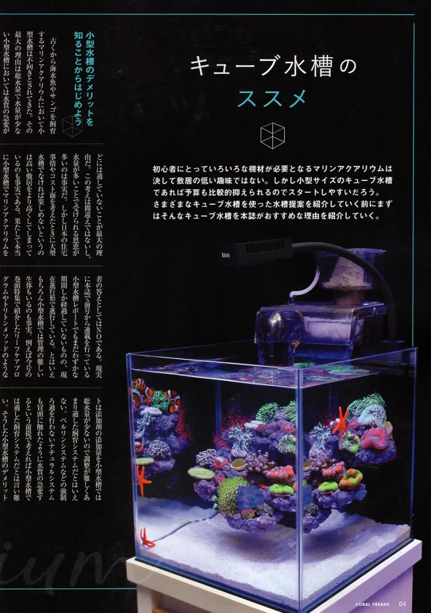 博客來 海水魚飼養迷情報專集vol 33