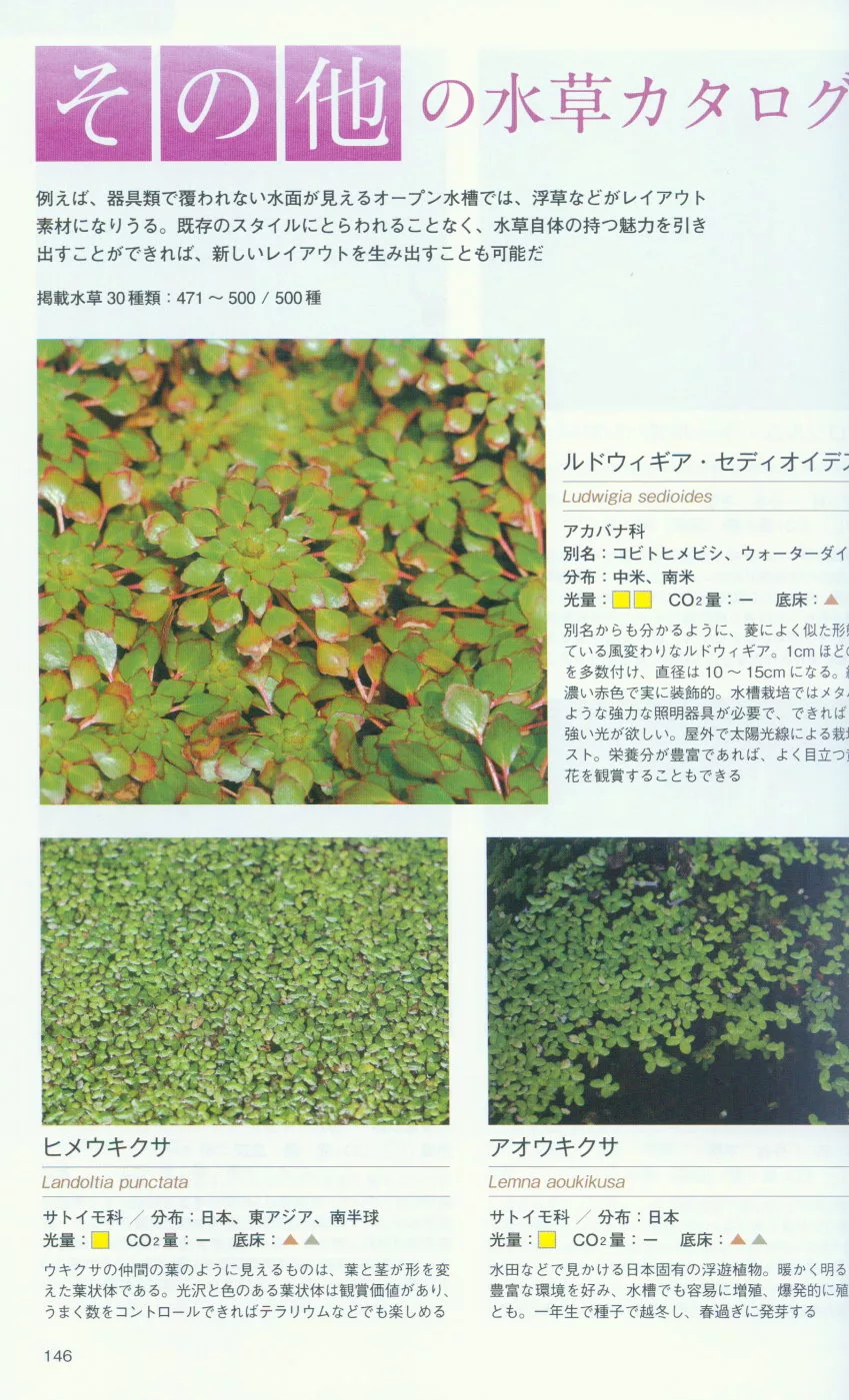 博客來 新裝版裝飾水草500種圖鑑完全專集