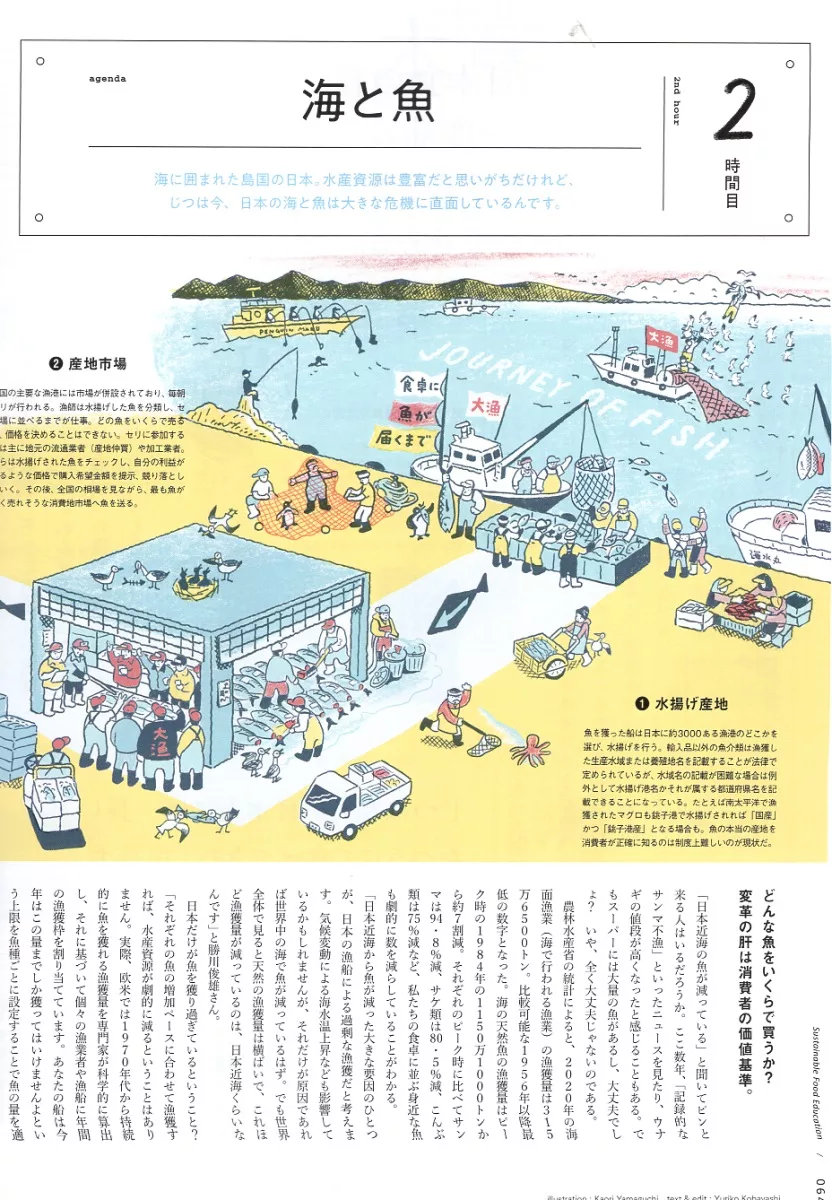 海與魚的雙人舞