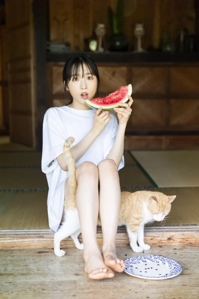 內頁