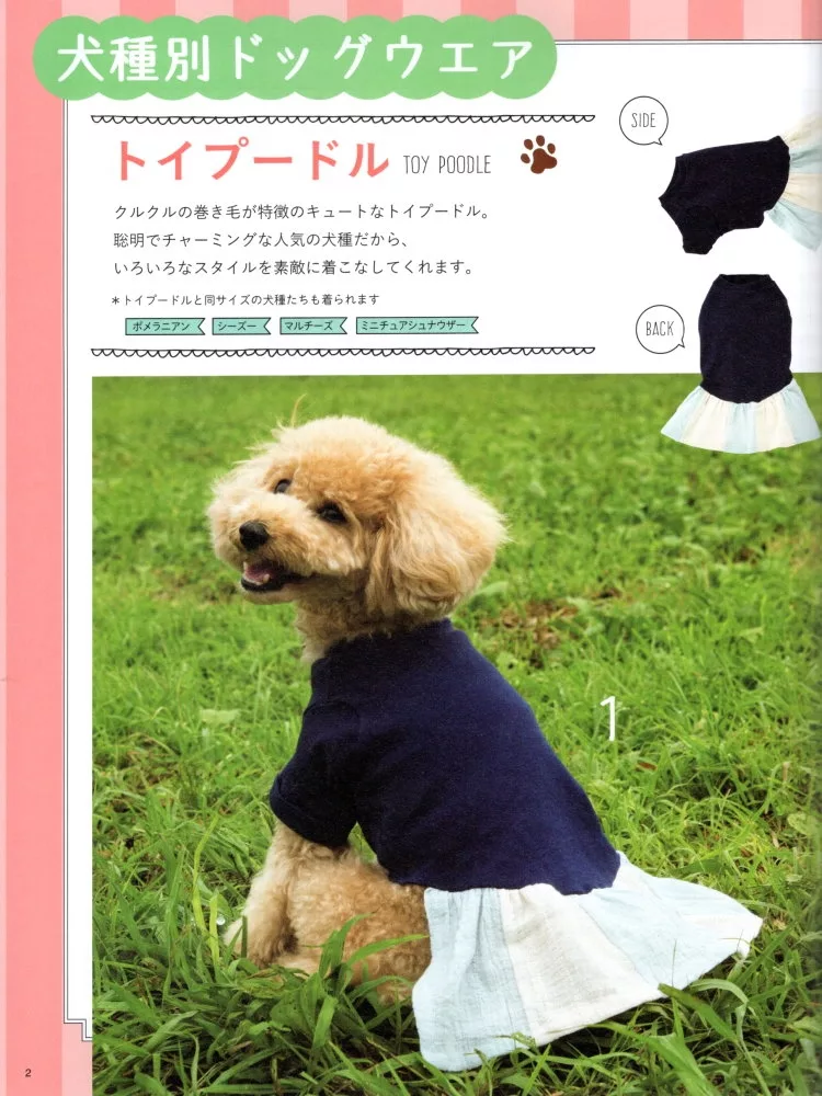 玩具貴賓的裙擺洋裝