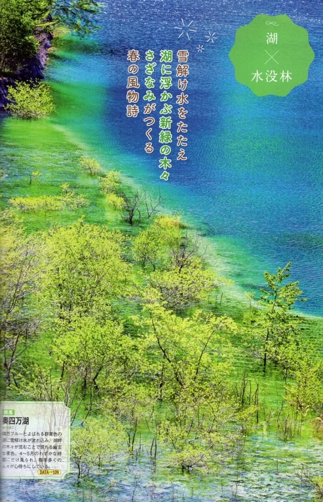 湖水與樹林的絕景