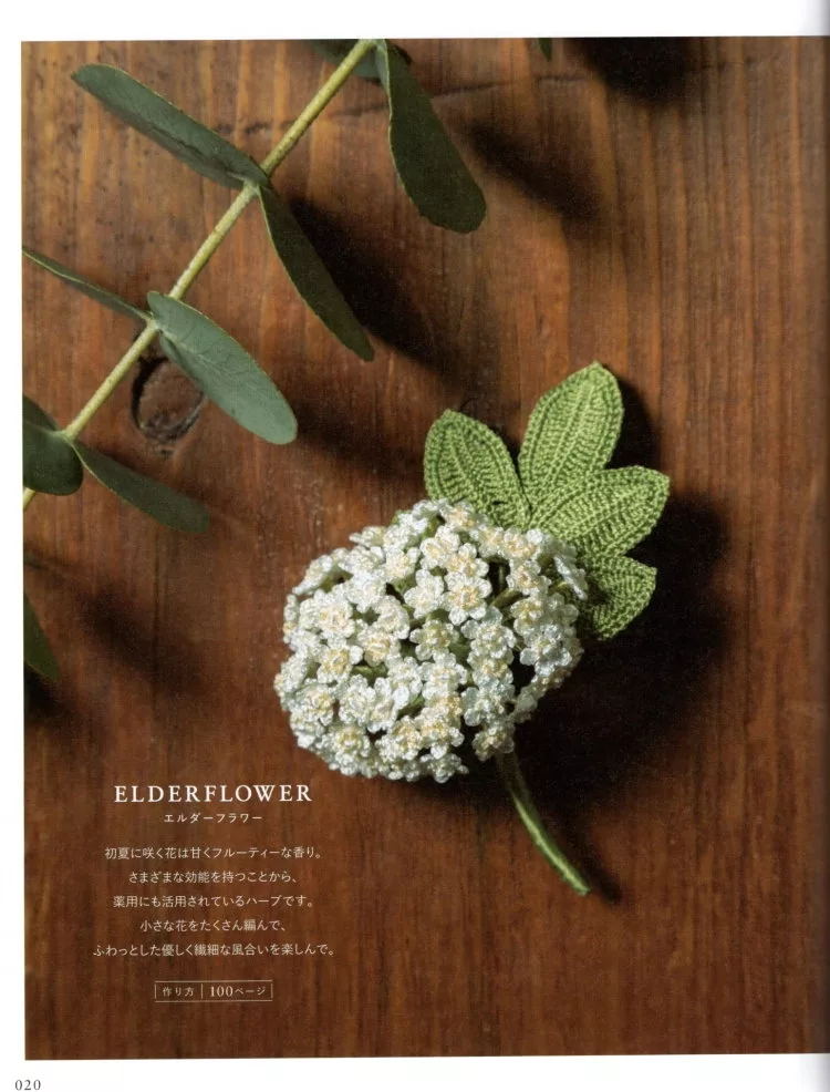 Elderflower